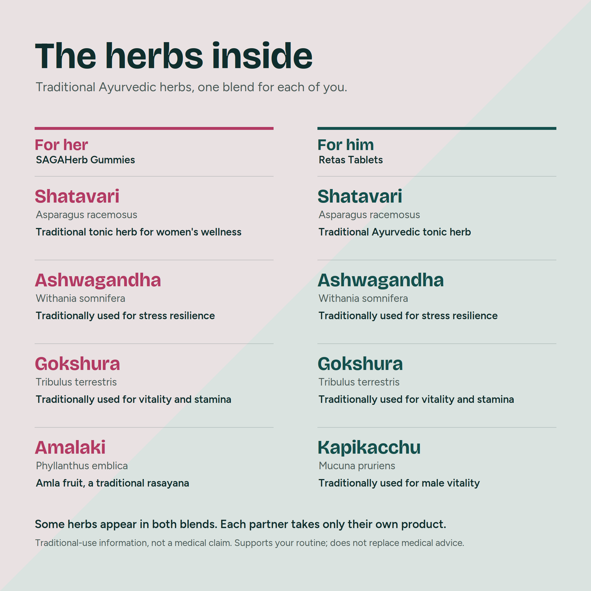 Couple Wellness Kit